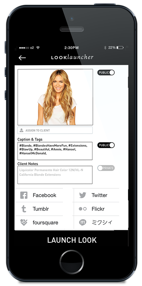 LOOKlauncher application concept: Launch a Look